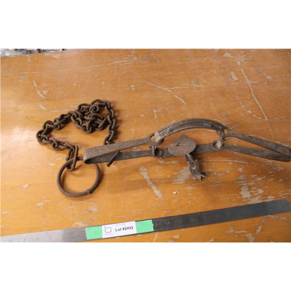 Animal Trap