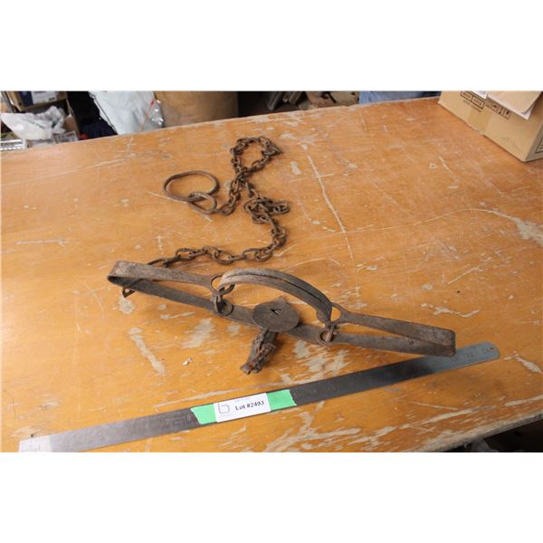 Animal Trap