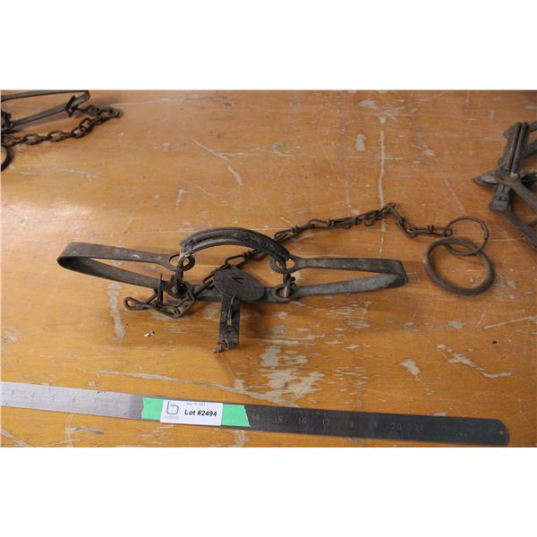 Animal Trap