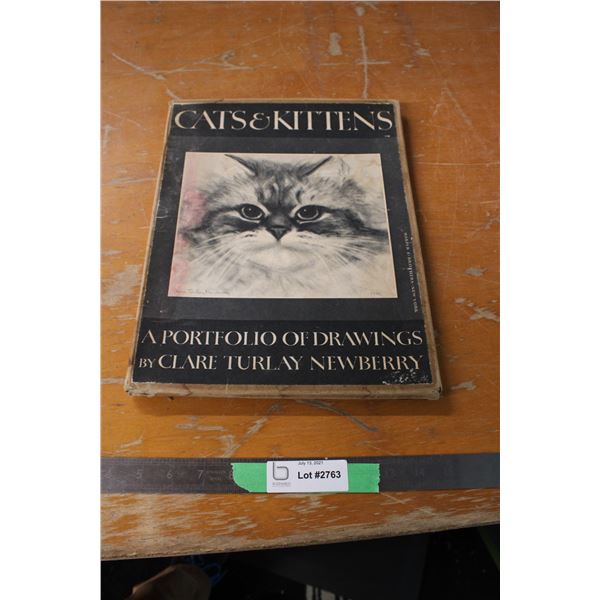 Cats and Kittens Drawings Books