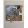 Image 1 : $20 Pure Silver Bobcat 2014 Coin
