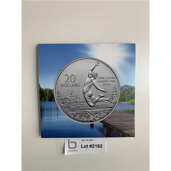 $20 Pure Silver Summertime 2014 Coin