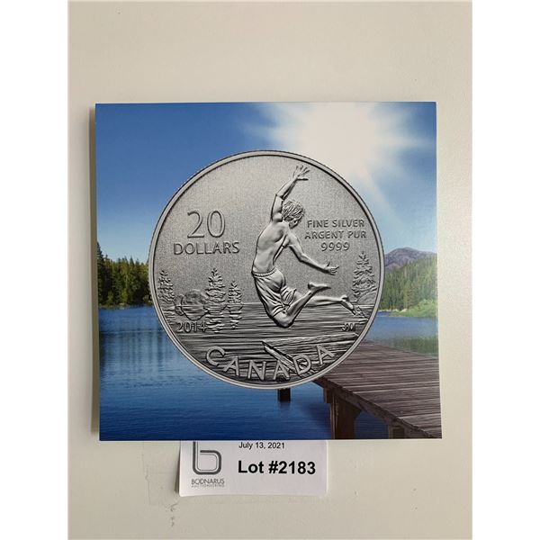 $20 Pure Silver Summertime 2014 Coin