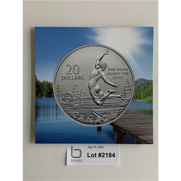 $20 Pure Silver Summertime 2014 Coin