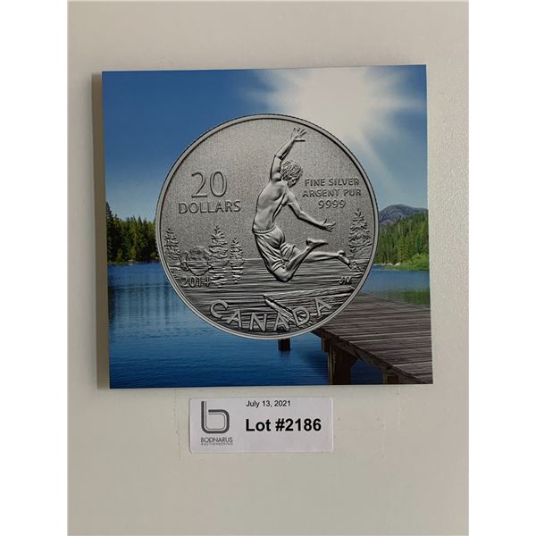 $20 Pure Silver Summertime 2014 Coin