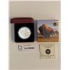 Image 1 : 2013 $100 Pure Silver Buffalo coin