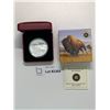Image 1 : 2013 $100 Pure Silver Buffalo coin
