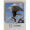 Image 3 : 2014 $100 Pure Silver Bald Eagle coin