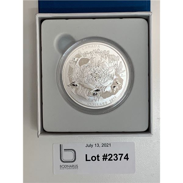 2016 $200 Pure Silver Icy Arctic coin