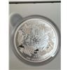 Image 2 : 2016 $200 Pure Silver Icy Arctic coin
