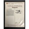 Image 3 : SPINAL TAP SIGNED PICKGUARD w/ COA