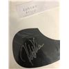 Image 2 : ROBERT DELIO SIGNED PICKGUARD w/ COA (STONE TEMPLE PILOTS)