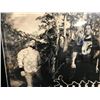 Image 3 : "DOWN" BAND SIGNED FRAMED PHOTO