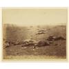 Image 1 : PHOTOGRAPH “A HARVEST OF DEATH” GETTYSBURG