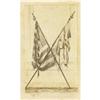 Image 1 : CDV DAMAGED 19TH MASSACHUSETTS UNIT FLAG