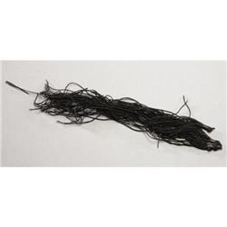 FROM THE CATAFALQUE OF PRESIDENT LINCOLN, NEW