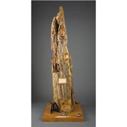 “BATTLE OF CHICKAMAUGA” CONFEDERATE WAR LOG, CUT