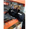 Image 1 : Bag of ball gloves and baseballs