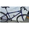 Image 2 : BLUE GIANT BIKE