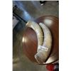 Image 1 : PAIR OF BUFFALO HORNS