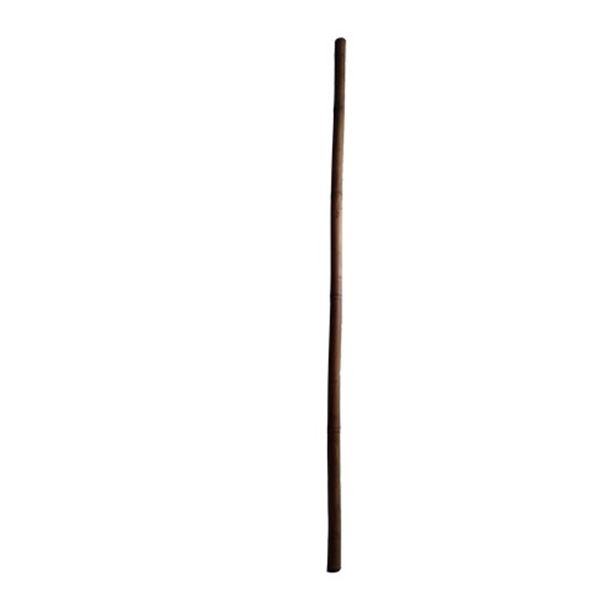 Crouching Tiger Hidden Dragon: Sword of Destiny Blind Enchantress (Eugenia Yuen) Bamboo Stick Movie 