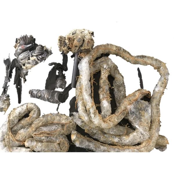 Alien vs. Predator Alien Cocoon Movie Props