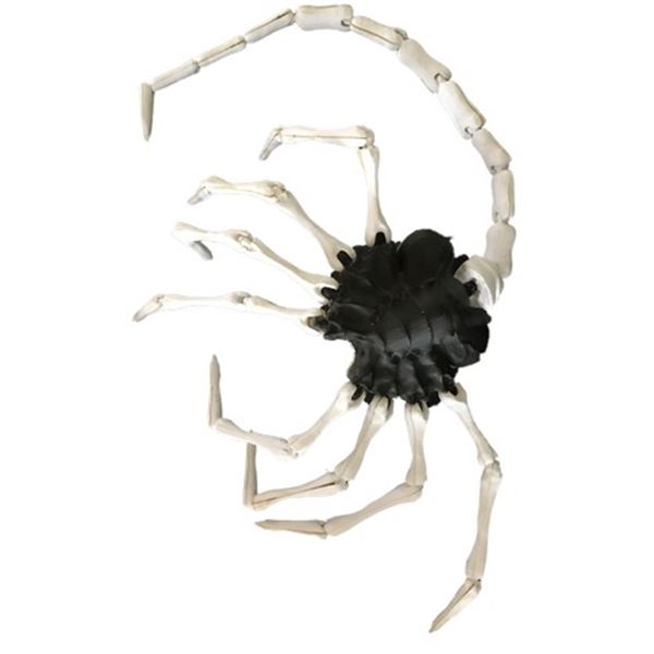 Prometheus Hugger Study Model Movie Props