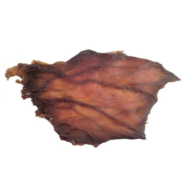 End of Days Satan Movie Props