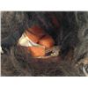 Image 5 : Tarzan and The Lost City Ape Mask Movie Props