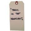 Image 2 : Magic in the Moonlight Movie Costume