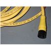 Image 2 : Lot of Woodhead / Brad harrison Cables