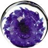 Image 2 : Lincoln Limited Edition Paperweight by St Clair