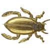 Image 2 : “Gold Bug”, Large Political Pin