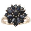 Image 1 : Sapphire, Gold Ring