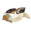 Image 1 : Collection of nine 19th century fans