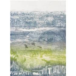 Bolhagen Etching Barrier Reef