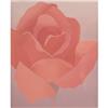 Image 1 : Denison Print Belle Rose