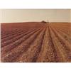 Image 1 : Artist unknown Photograph Plowed Field