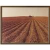 Image 3 : Artist unknown Photograph Plowed Field