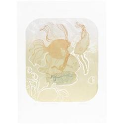 Meader Print Neptune's Delight