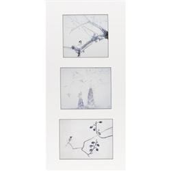 Six calendar prints