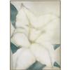Image 5 : Suzanne Marie Two framed posters