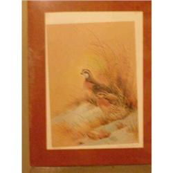 "Wild Bird"  by Bernard Meyer  unframed print