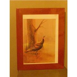 "Wild Turkey" Bernard Meyer unframed print