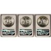 Image 2 : Lot of  (3) 1980Mo Mexico 1 Onza Silver Coins NGC MS64