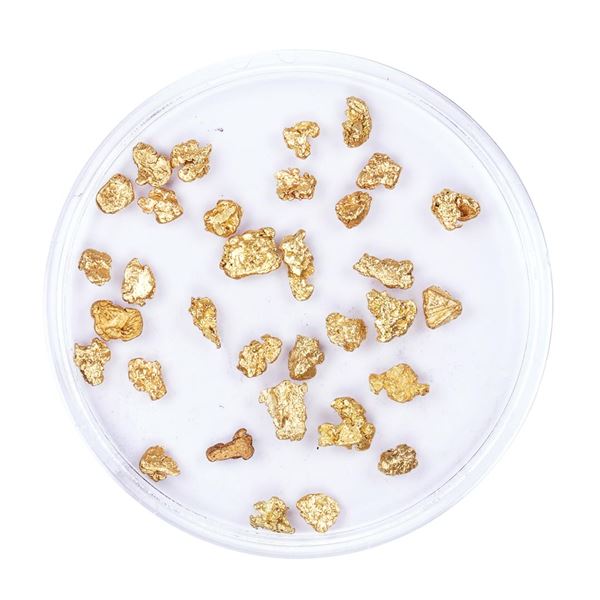 Lot of Gold Nuggets 3.00 Grams Total Weight
