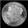 Image 2 : ***Auction Highlight*** 1892-cc /cc vam 4 Morgan Dollar $1 Graded ms63 DMPL By SEGS (fc)