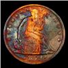 Image 2 : ***Auction Highlight*** 1873-cc Arrows WB-3 Seated Half Dollar 50c Graded xf BY USCG (fc)