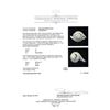 Image 5 : 14KT White Gold 2.24 ctw Diamond Ring