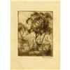 Image 4 : BLANCHE MCVEIGH, Early Texas Art, etching